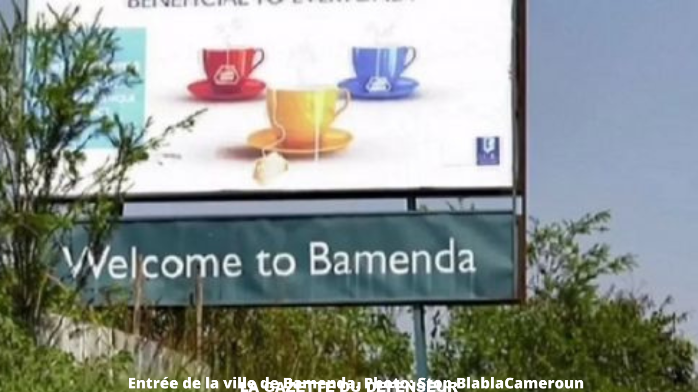 Des hommes armés tuent 9 civils dans le Cameroun anglophone