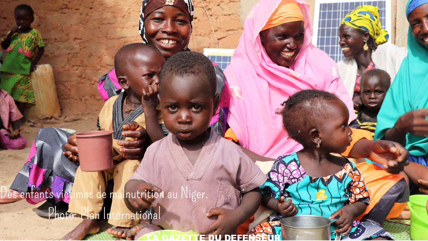 Des enfants victimes de malnutrition au Niger. Photo Plan international