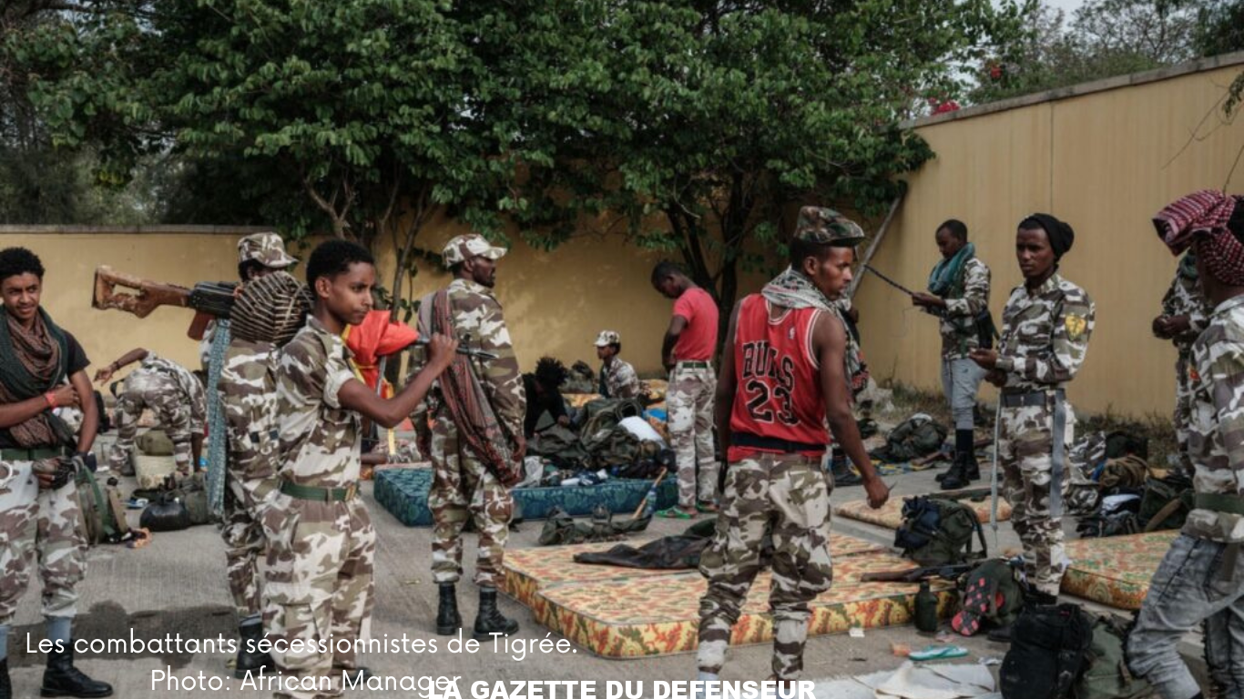 Les combattants sécessionnistes de Tigrée. Photo
