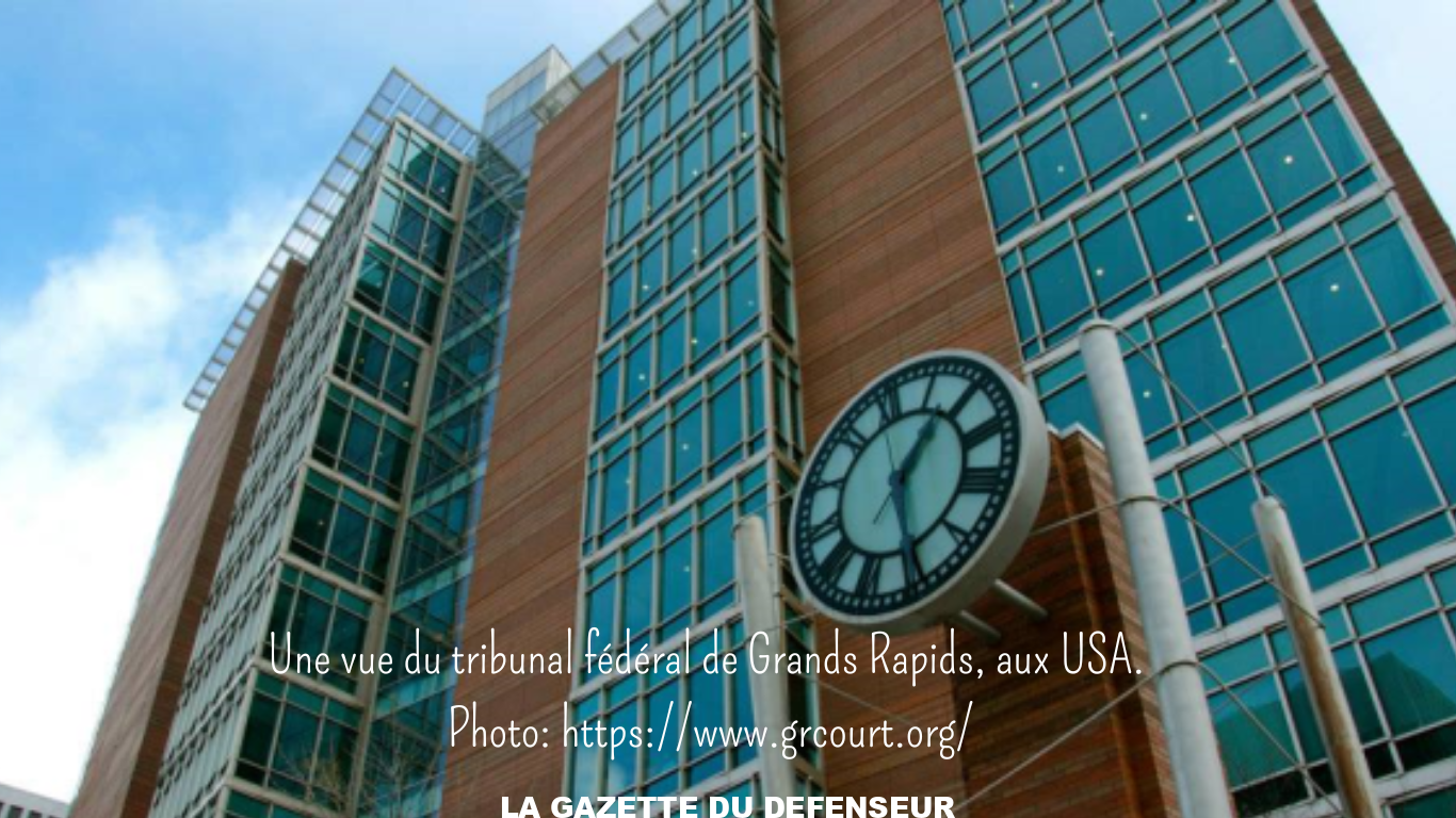 2 jeunes nigérians extradés aux USA pour cyber-harcèlement sexuel