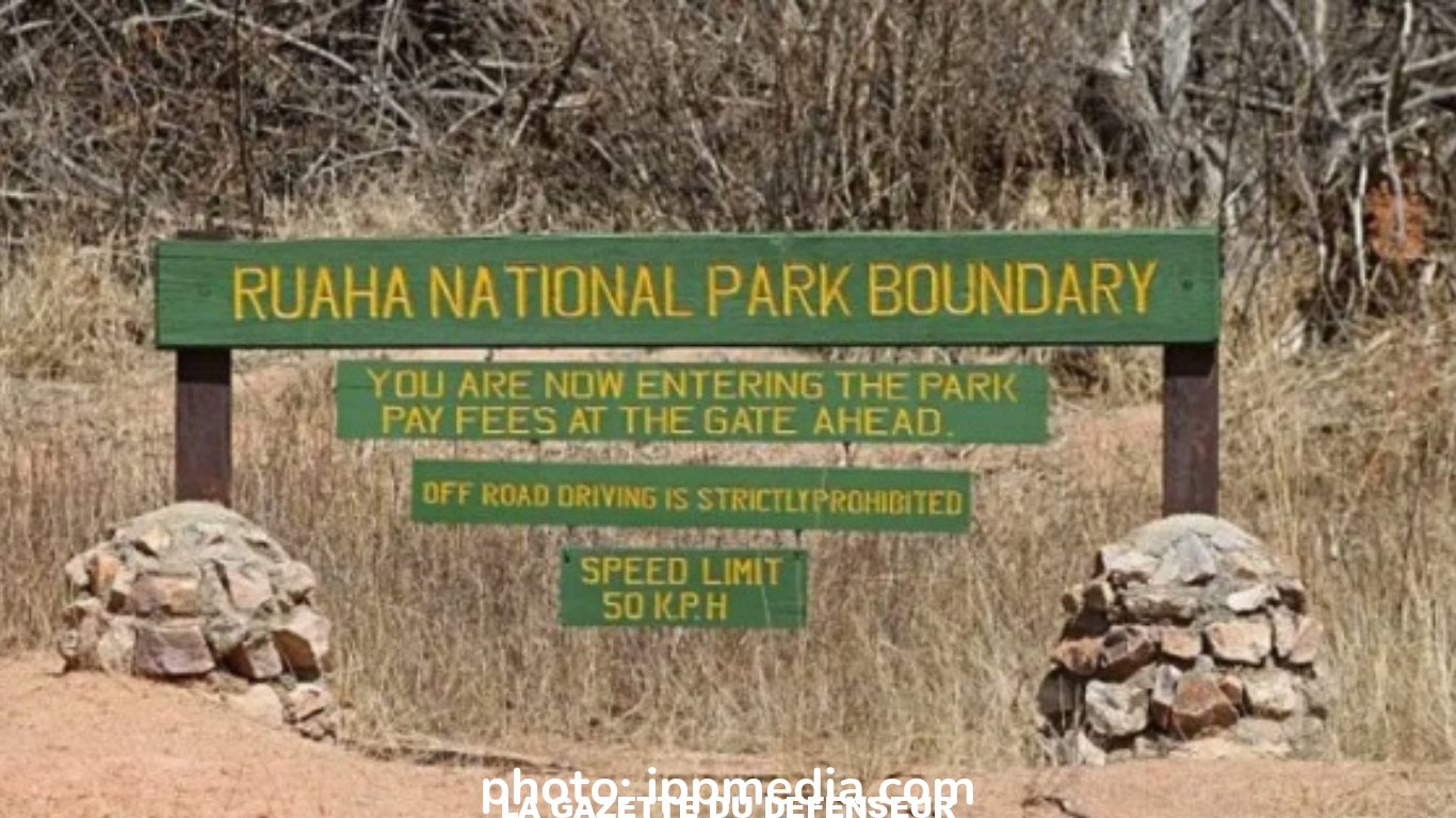 Le capitaine Moussa Dadis Camara. Photo (5)