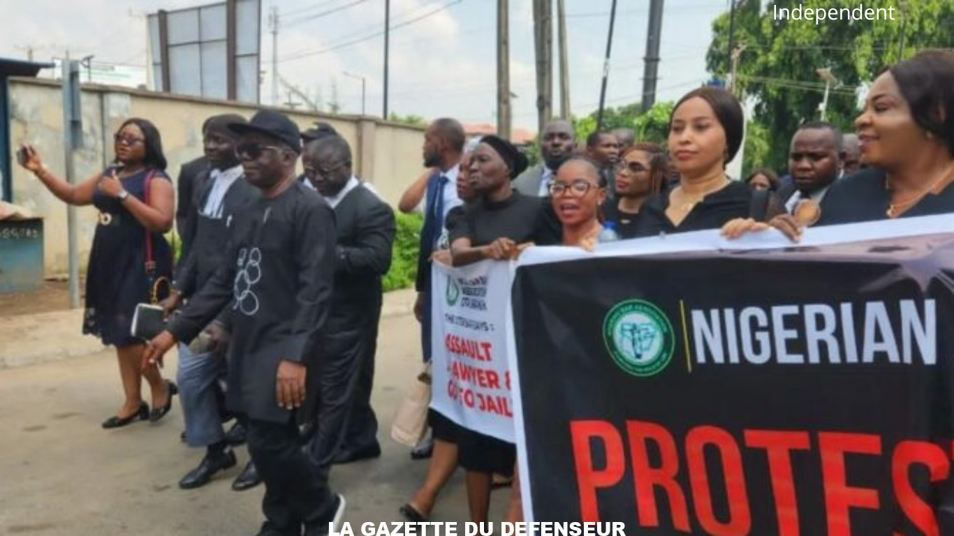 Freedom Newspaper (1)