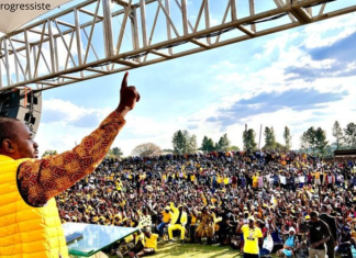 Zimbabwé: Des militants de l’opposition risquent 5 ans de prison ferme