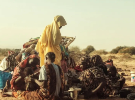 Soudan: Les FSR accusées d’atrocités sur les civils à El-Fasher