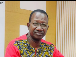 Mali: 2 ans de prison ferme pour un journaliste